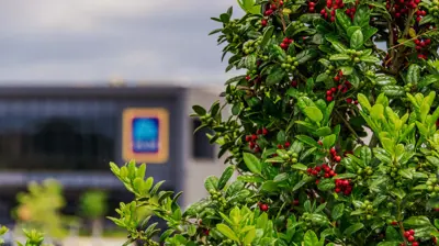 Corporate Landscapes