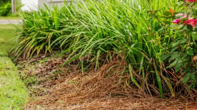 3Circle Church 5 Photo