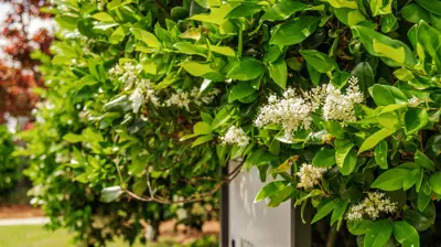 3Circle Church Photo