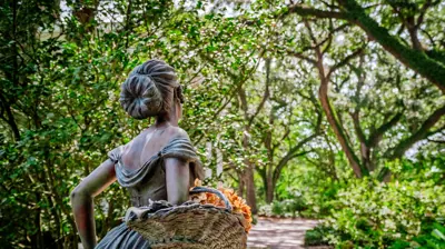 Bragg Aeration 10 Photo