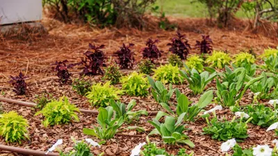 Coastal Alabama Community College 4 Photo