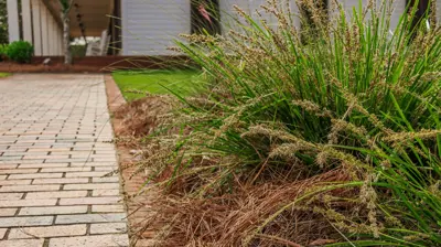 Coastal Alabama Community College 6 Photo