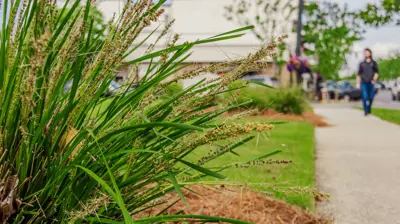 Coastal Alabama Community College 7 Photo