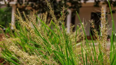 Coastal Alabama Community College 8 Photo