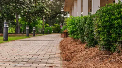 Coastal Alabama Community College 1 Photo