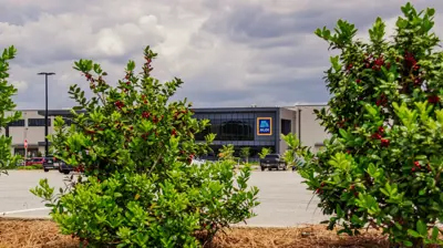 Corporate Landscape 2 Photo