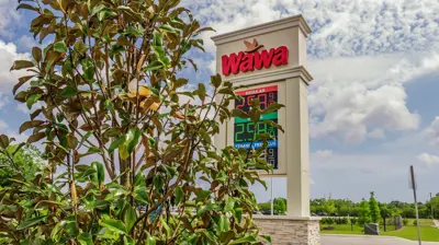 Corporate Landscape 5 Photo