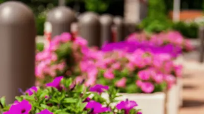 Corporate Landscape 6 Photo