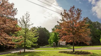 The Woodlands 7 Photo