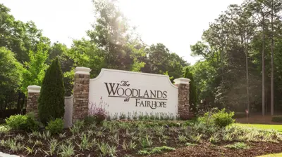 The Woodlands 2 Photo