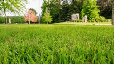 The Woodlands 10 Photo