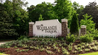 The Woodlands 4 Photo