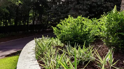 The Woodlands 6 Photo