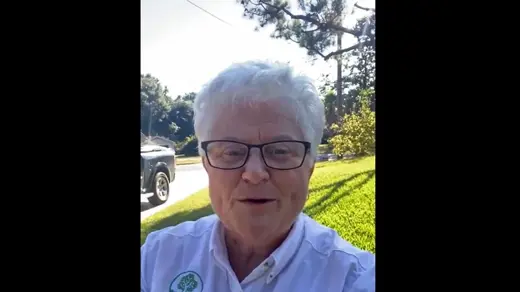 Foundation Thumbnail