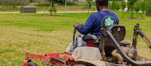 Lawn Health Services