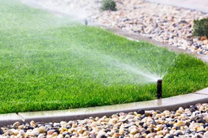 Lawn irrigation services