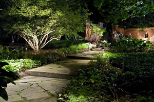 Lawn and landscape lighting design and installation
